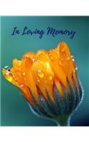 In Loving Memory: Memorial Guest Book, Funeral Guest Book, Registration Book, Condolence Book, Celebration Of Life Remembrance Book, Contemporary Matte Finish, Paperb