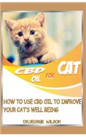 CBD Oil for Cat