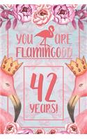 42nd Birthday Journal