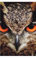 Owl Journal Notebook Planner Memo Book 6 X 9 (150 Pages)