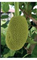 Jackfruit Tree: Plain Lined Journal Book for Vegan Lovers of This Miracle Fruit Plant Based Meat Alternative