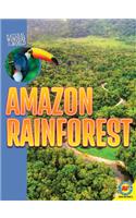 Amazon Rainforest