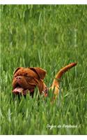 Dogue de Bordeaux: Pocket Notebook for Pets, Critters and All Kinds of Animal Lovers