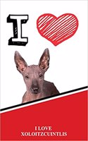 I Love Xoloitzcuintlis