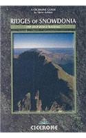 Ridges of Snowdonia