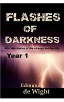 Flashes of Darknes - Year 1