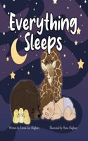 Everything Sleeps