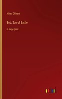 Bob, Son of Battle