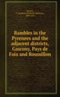 Rambles in the Pyrenees and the adjacent districts, Gascony, Pays de Foix and Roussillon