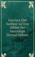 Assyriaca, Eine Nachlese Auf Dem Gebiete Der Assyriologie (German Edition)