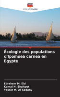 Écologie des populations d'Ipomoea carnea en Égypte