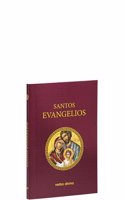 Santos Evangelios (Palabra de Vida): [Version Espana]