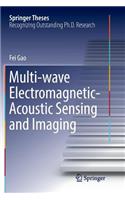 Multi-Wave Electromagnetic-Acoustic Sensing and Imaging