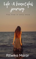 Life - A Beautiful Journey
