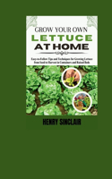 Grow Your Own Lettuce at Home