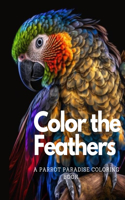 Color the Feathers