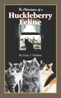 Adventures of a Huckleberry Feline