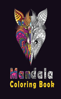 Mandala Coloring Book