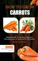 How to Grow Carrots