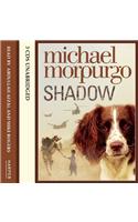 Shadow