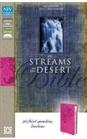 Streams in the Desert Bible-NIV