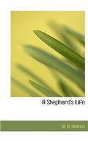 A Shepherd's Life: (English)