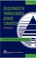 Developments in Thermochemical Biomass Conversion
