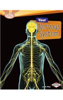 Your Nervous System: (Searchlight Books — How Does Your Body Work?)