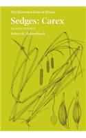 Sedges: Carex