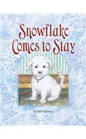 Snowflake Comes to Stay