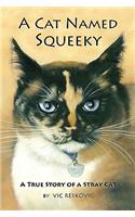 A Cat Named Squeeky