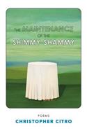 Maintenance of the ShimmyShammy