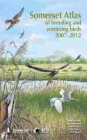 Somerset Atlas of Breeding and Wintering Birds 2007-2012