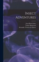 Insect Adventures