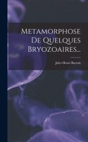 Metamorphose De Quelques Bryozoaires...