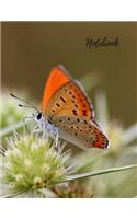 Notebook: Butterfly Notebook, Journal, Diary (110 Pages, Blank, 8.5 x 11)
