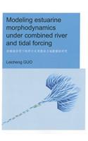 Modeling Estuarine Morphodynamics Under Combined River and Tidal Forcing