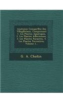 Anatomie Compar Ee Des V Eg Etaux, Comprenant 1. Les Plantes Aquatiques, 2. Les Plantes a Eriennes, 3. Les Plantes Parasites, 4. Les Plantes Terrestres, Volume 1...