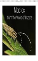 Macros from the World of Insects 2018: The Realm of Insects is Huge. This Calendar Allows a Fascinating Look Inside the Details of This World.(Calvendo Animals)