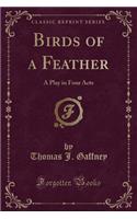Birds of a Feather