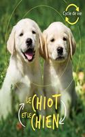 Cycle de Vie: Le Chiot Et Le Chien
