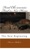 Feral Chi-weenies Find a New Home