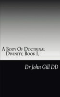 A Body Of Doctrianal Divinity Book 1