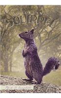Brooklyn the Squirrel