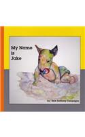 My Name Is Jake