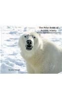 The Polar Bears of Barrow, Alaska