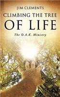 Climbing The Tree Of Life