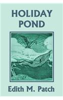 Holiday Pond (Yesterday's Classics)