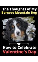 The Thoughts of My Bernese Mountain Dog