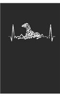 Dalmatian Heartbeat